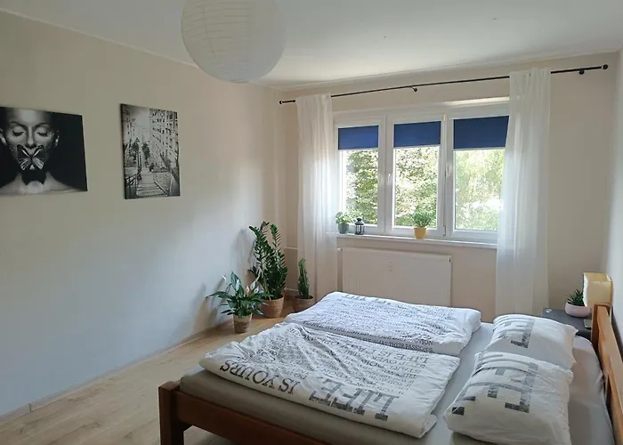 Appartamento Comfort *