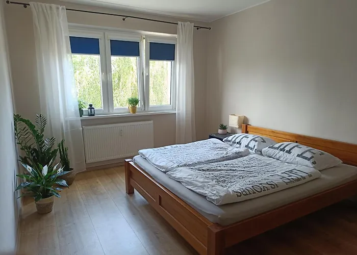 Appartamento Comfort